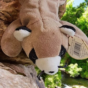 Ty Beanie Baby Ringo Raccoon 1995 Tags Retired Stuffed Animal Toy 4014 - Picture 1 of 10