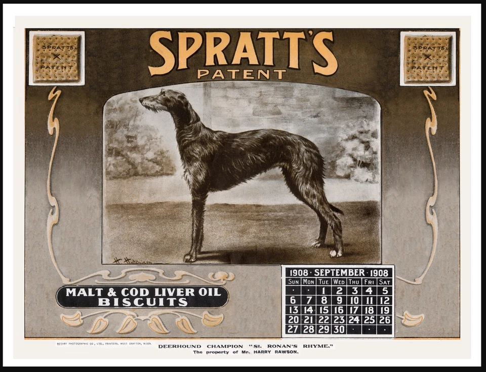 DEERHOUND NAMED DOG VINTAGE STYLE SPRATT'S DOG FOOD ADVERT ART PRINT POSTER - Image 1 of 1