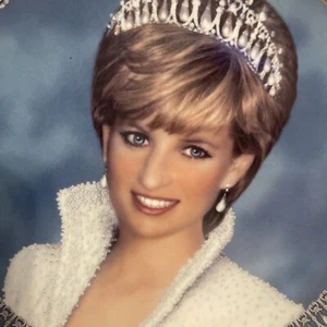 A Tribute to Princess DIANA from the FRANKLIN MINT Limited Edition Plate 1961-97 - Picture 1 of 6