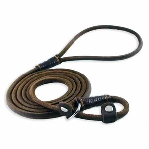 Retrieverleine Leder - Retriever Leine Zugstopp Halsband Hund verstellbar braun - Bild 1 von 6