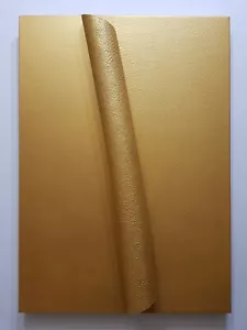 Antonio Baccarin - Foto 1 di 6