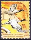 Guinea 2000 Mnh, Millennium, Sea Birds White Ibis