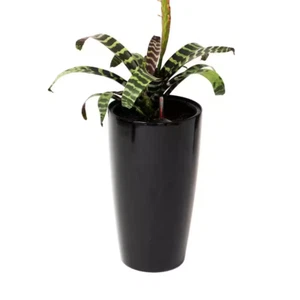 21 in. H Black Plastic Self Watering Indoor Outdoor Tall Round Planter Pot w/Glo - Picture 1 of 11