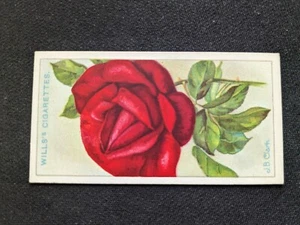 Carta 1926 Wills Roses # 20 J. B. Clark (IN PERFETTE CONDIZIONI/EX) - Foto 1 di 3
