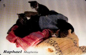 G OP 132 C&C 3223 SCHEDA TELEFONICA NUOVA MAGNETIZZATA OMAGGIO RAPHAEL MAGLIERIA - Foto 1 di 2