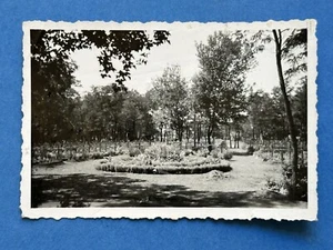 Foto, Wk2, deutscher Soldatenfriedhof Konstantinowka Ukraine 1941 XT55189 - Bild 1 von 2