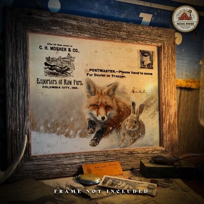 Vintage Fur Trapping Catalog Art Print Red Fox Trapping Hunting Cabin Decor Gift - Image 1 of 4