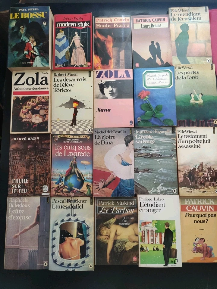 French Novels Lot of 40 Classics Literature Fiction Foto 1 de 2