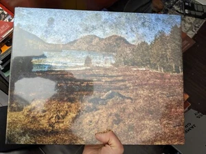 Abelardo Morell tent camera - Picture 1 of 3