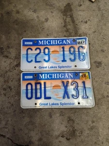 Two Michigan Great lakes Splendor Plates - Picture 1 of 1