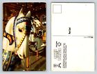 Carousel Horses Pedroland Park South Of The Border Hamer Sc Postcard 1989