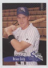 1995 Multi-Ad Salem Avalanche Brian Culp #13
