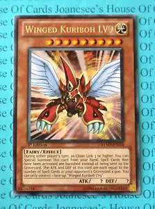RYMP-EN014 Winged Kuriboh LV9 Rare Yu-Gi-Oh Card 1st Edition New - Picture 1 of 4