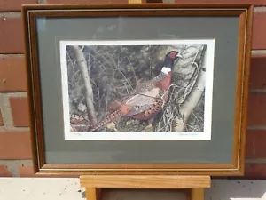 Denise Wheeler.  Framed limited edition 75/500 of a Cock Pheasant - Picture 1 of 1
