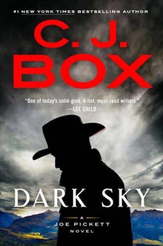 Dark Sky (A Joe Pickett Novel) - Hardcover By Box, C. J. - VERY GOOD - Image 1 of 1