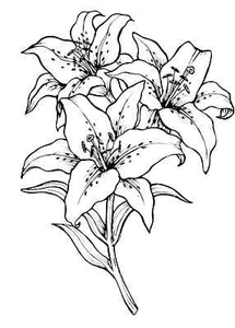 Oriental Lily Cling Mounted Rubber Stamp by JudiKins - Picture 1 of 4