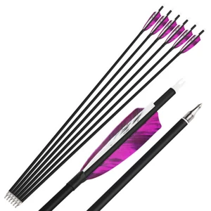 28" 30'' 31" Archery Carbon Arrows SP500 4" Turkey Feathers Bow Hunting Target - Picture 1 of 20
