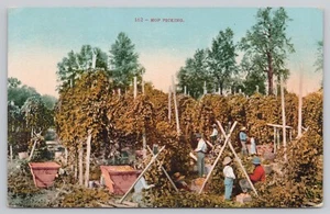 Maybe Exaggeration Postcard - People "Hop Picking" - Oregon - Picture 1 of 2