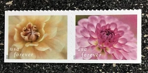 2025USA Forever Dahlias - Pair Set of 2 Booklet Singles  Mint flowers - Picture 1 of 1