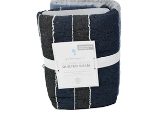 Pottery Barn Kids Sullivan Deportes Acolchado Euro Sham 26" x 26" NUEVO - Imagen 1 de 6