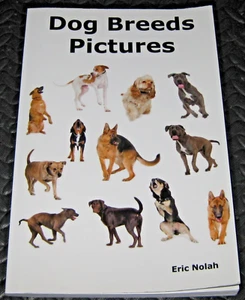 Hunderassen Bilderbuch - Bilder und Details für über 100 Rassen - Eric Nolah - Bild 1 von 4