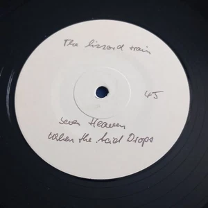 12'' test pressing The Lizard Train ‎– Thirteen Hour Daydream Zinger UK 45 RPM - Picture 1 of 4