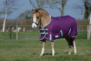WeatherBeeta ComFiTec Premier Freedom Standard Neck Pony Turnout Sheet (0g Lite) - Picture 1 of 14