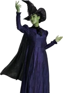 Vestido Disfraz WICKED Niña De Lujo Elphaba Púrpura Pequeño 6-6X NUEVO - Imagen 1 de 8