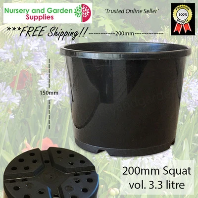 200mm Squat Plant Pot Black - cactus, succulent, herbs, rockery, flower, orchids - image 1 of 4