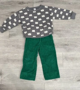Petit Bateau Corduroy Straight Trousers Pants And Crewneck Kids Sz 6ans - Picture 1 of 12