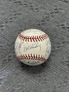 2010 TEAM USA SIGNED Baseball Gerrit Cole George Springer Sonny Gray ++ More COA - Picture 1 of 8