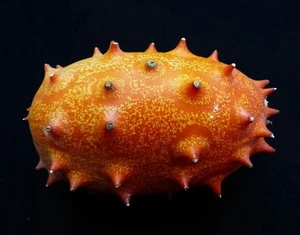 ☺80 graines de kiwano / fruit - Picture 1 of 2