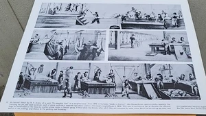 Pig disassembly line in slaughterhouse 1872 14 X 11 In Photo m9 - Bild 1 von 3