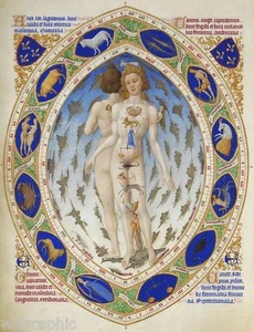 Anatomical Man 1415 Limbourg Brothers Vintage Giclee Estampado en Lona 16x20 - Imagen 1 de 2