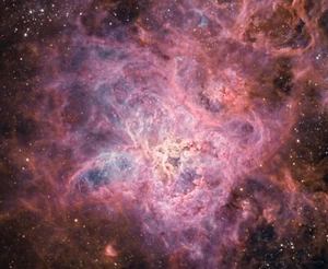 TARANTULA NEBULA POSTER 24 X 36 INCH AMAZING LOOKING! - Picture 1 of 2