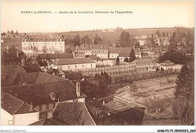 Ahmp3-71-0297 - Paray-Le-Monial - Garden of the Visitation - Hazelnut Tree - Image 1 of 2