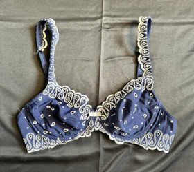 Lise Charmel 34B Blue and White Embroidered Underwire Unpadded Lingerie Bra NWOT