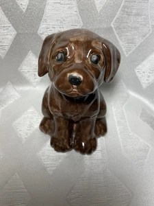 Braun Labor Welpe Keramik handbemalt Sparschwein mit Stopfen 4" - Bild 1 von 7