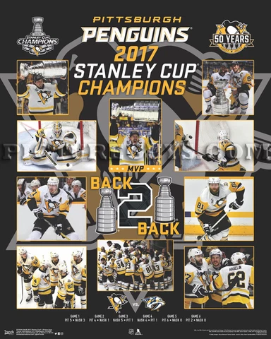 Pittsburgh Penguins 2017 Stanley Cup Championship Picture Plaque Cover