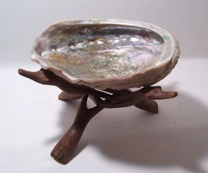 Vintage Rare One of a Kind Large Iridescent Abalone Seashell on wood stand - Picture 1 of 12