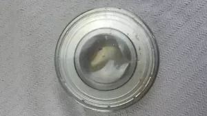 SKF 6312 3110-00-554-5656 ROLLER BEARING NEW UNUSED - Picture 1 of 6