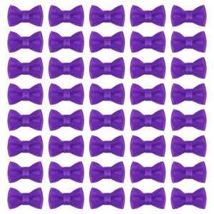 50 Pcs Mini Ribbon Bow 0.8" Mini Fabric Ribbon Flower Bows, Purple - Imagen 1 de 5