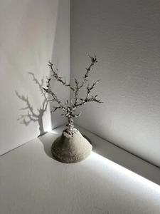 Hand Made Wire Tree Sculpture - Small, Thorny Locust On Concrete Base - Picture 1 of 3