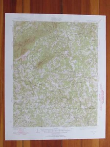 Critz Virginia 1953 Original Vintage USGS Topo Karte - Bild 1 von 1