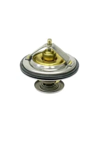 WAHLER/BORG WARNER 1153171095371 Termostato (71 grados) C) BMW 325i 535i 735i 325iX - Imagen 1 de 2