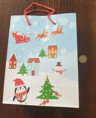 BEN FERN UK Pack of 5 Christmas Scene Gift Bags Xmas Present Gifts EASY PACK Santa 23 CM 9IN