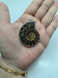Ammonite Fossil Pendant with Silver Coloured Metal Frame and Bail 012 - Picture 1 of 2