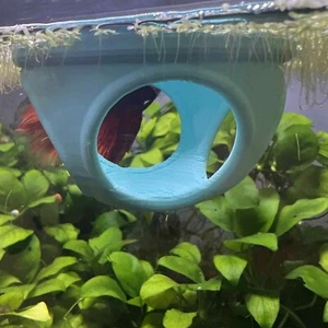 Floating Betta Tube - Picture 1 of 4