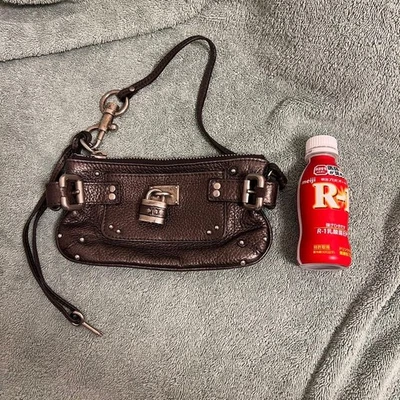 CHLOE Paddington Mini Pouch Shoulder Wallet Bag Bronze Brown Leather Rare Auth - Image 1 of 4