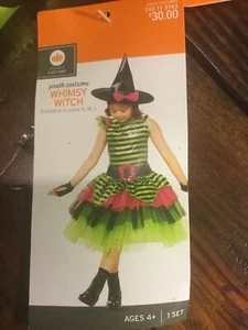 Disguise Whimsy Witch Child Girls Halloween Costume Green Pink Small 4/6 - Picture 1 of 3
